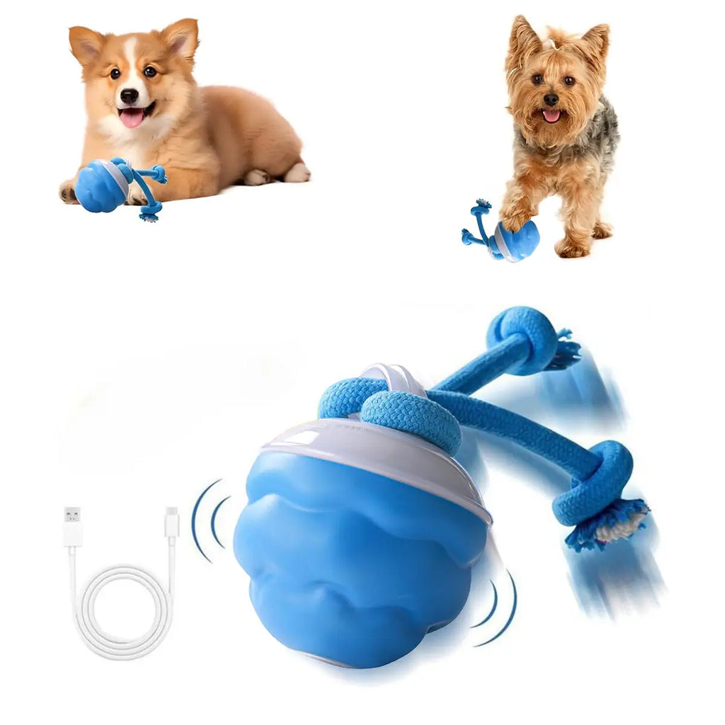 Interactive Dog Toys with Motion Activated, Squeaky Dog Toy Active Rolling Ball, Ball for Daily Training,Used for Small Dogs and Cats , Pet Accessories, Cute Pet Toys(2.95*2.95*4.33Inch)